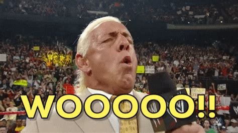 ric flair gif woo.